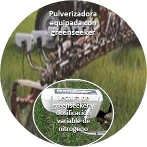 Aumentos de producción y ajuste de fertilización mediante la aplicación de agricultura de precisión en trigo - Image 8