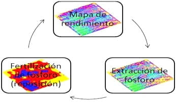 Aumentos de producción y ajuste de fertilización mediante la aplicación de agricultura de precisión en trigo - Image 1