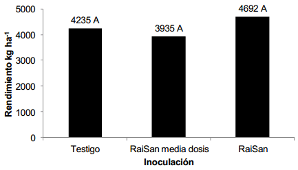 Efecto de tratamientos de semilla de trigo con raisan según estrategia de fertilización con nitrógeno - Image 7
