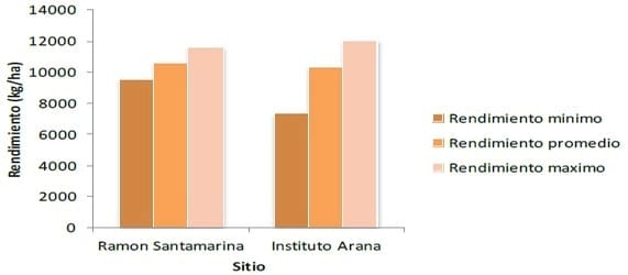 Ensayos de experimentación adaptativa en el cultivo de maíz. INTA Tandil 2013-2014 - Image 5