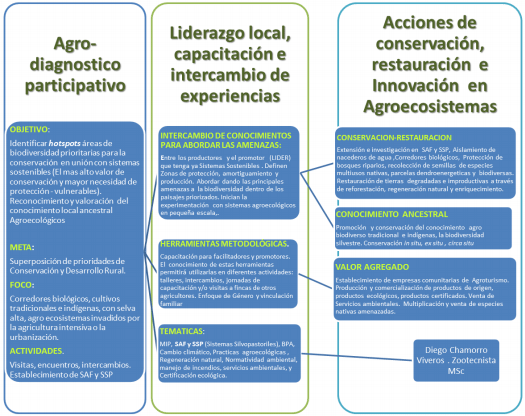Reingeniería de la ganadería bovina con sistemas silvopastoriles como estrategia para mitigar el cambio climático, conservación in situ y certificación ecológica - Image 1