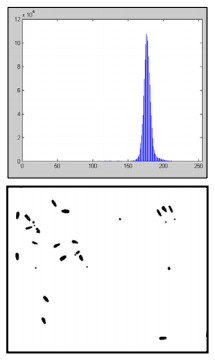 Utilización de momentos estadísticos y redes neuronales en la clasificación de cabezas de espermatozoides de verraco - Image 3