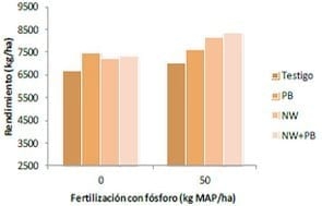 Rendimiento de trigo según uso de promotores de crecimiento y fertilización fosfatada - Resumen Trigo y Cebada. INTA Tandil 2013-14. - Image 2