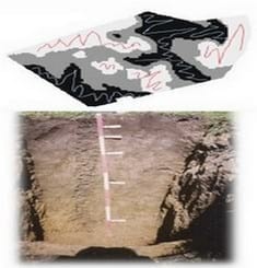 Fertilización con nitrógeno según zonas de productividad - Resumen trigo y cebada. INTA Tandil 2013-14. - Image 2