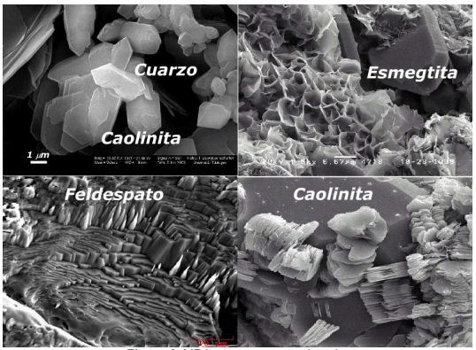 Nutrición con silicio y sus aplicaciones a cultivos a cielo abierto y en agricultura protegida: Un pequeño recorrido por la naturaleza - Image 17