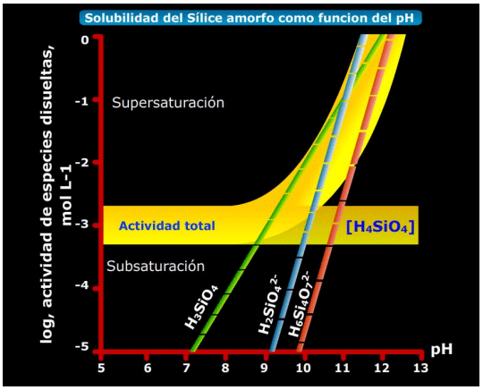 Nutrición con silicio y sus aplicaciones a cultivos a cielo abierto y en agricultura protegida: Un pequeño recorrido por la naturaleza - Image 11