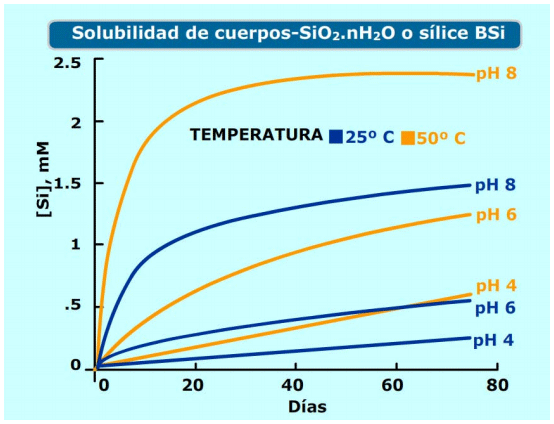 Nutrición con silicio y sus aplicaciones a cultivos a cielo abierto y en agricultura protegida: Un pequeño recorrido por la naturaleza - Image 9