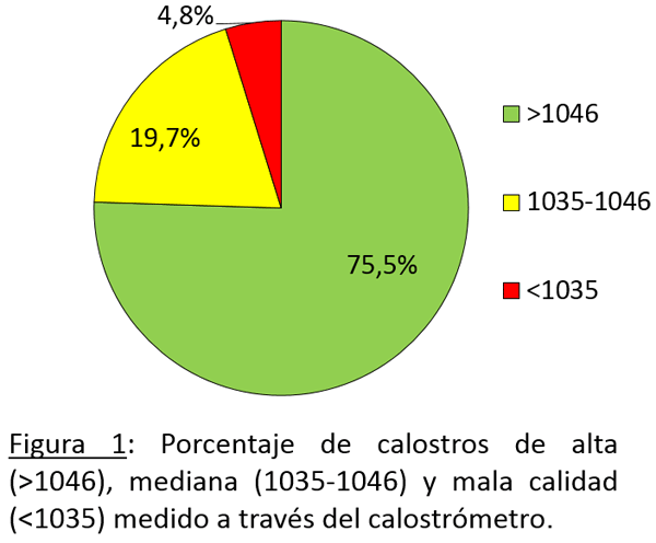 Evaluación en terreno de la calidad del calostro en vacas de lecherías de alta producción, medido a traves de dos métodos - Image 2