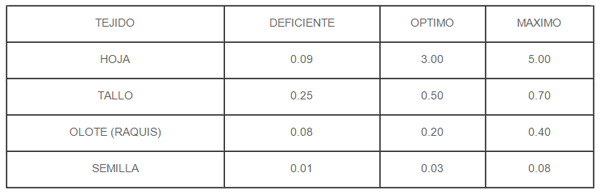 El flujo de silicio en los cultivos agrícolas (Maíz) - Image 2