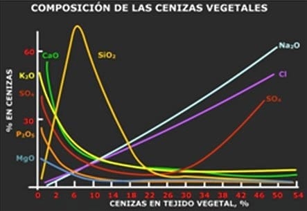 La Biosilicificación: Proceso Biológico fundamental en la Productividad Vegetal - Image 3