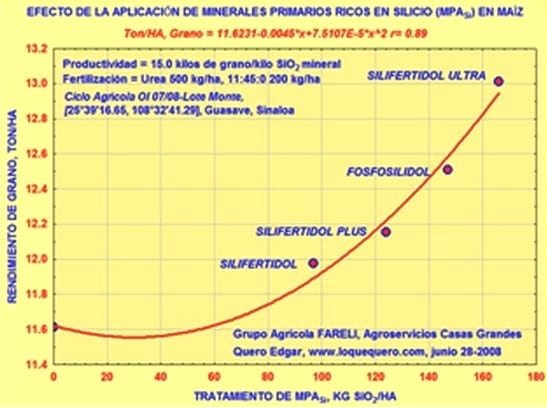 La Biosilicificación: Proceso Biológico fundamental en la Productividad Vegetal - Image 7