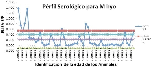 Utilizacion de la Serologia de ELISA contra Mycoplasma hyopneumoniae para evaluar su incidencia a diferentes edades de los Cerdos - Image 2