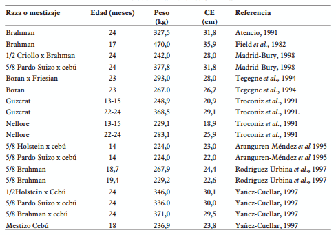 Interpretación de la circunferencia escrotal en la evaluación de la fertilidad de toros doble propósito en monta natural - Image 1