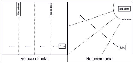 Experiencias de recría y engorde con raciones secas en AUTOCONSUMO - Image 37