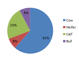 Epidemiología de la Dermatofilosis en la Republica de Eritrea - Image 4