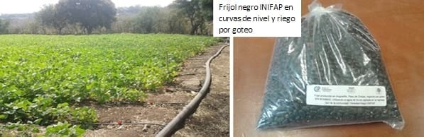 Captación del agua de escorrentía en pequeñas represas para uso intensivo agropecuario y acuícola en zonas de temporal - Image 3
