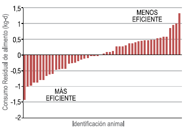 Construyendo las bases para la selección genómica en la raza hereford eficiencia de conversión y calidad de canal y carne - Image 4
