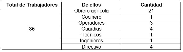 Aspectos agro-productivo del proceso de propagación de semilla de la Caña de Azucar - Image 1