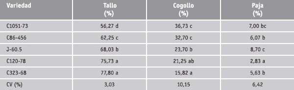 Subproductos de la caña de azucar - Image 3