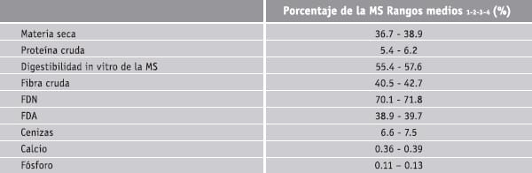 Subproductos de la caña de azucar - Image 4