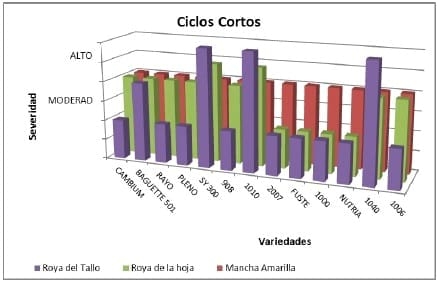 Comportamiento de variedades de trigo con dos manejo de fertilización nitrogenadas - Image 12