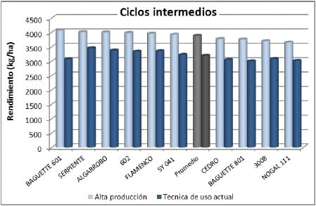 Comportamiento de variedades de trigo con dos manejo de fertilización nitrogenadas - Image 4