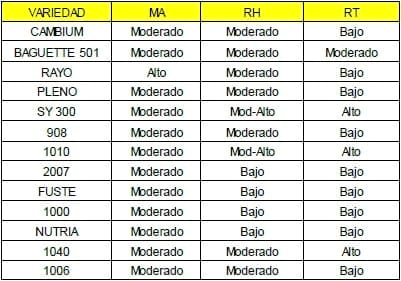 Comportamiento de variedades de trigo con dos manejo de fertilización nitrogenadas - Image 11