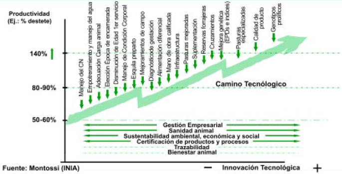 Mejora de la eficiencia reproductiva de las majadas. Un desafío posible, necesario e impostergable - Image 1