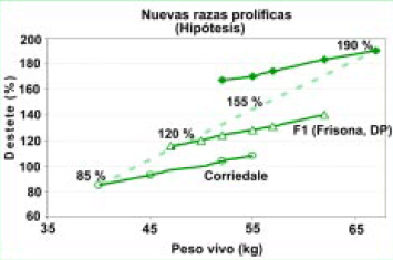 Mejora de la eficiencia reproductiva de las majadas. Un desafío posible, necesario e impostergable - Image 3