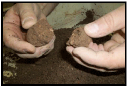 Especificaciones técnicas para la construcción de pisos de hormigón parainstalaciones de ordeño y anexos. - Image 7