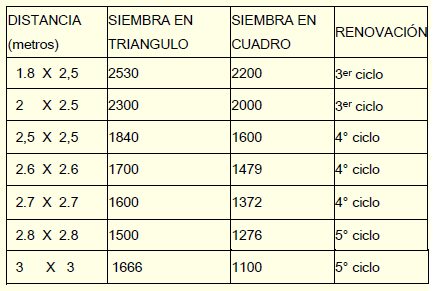 Protocolo de Manejo del Cultivo de Plátano - Image 1