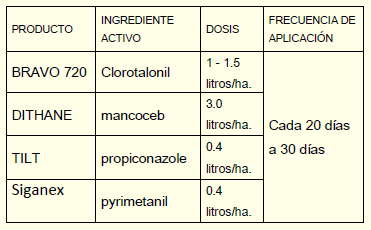 Protocolo de Manejo del Cultivo de Plátano - Image 6