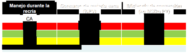 Manejo de la Proteína y Energía de la Recría a la Terminación. ¿Cómo Afectamos la Eficiencia, Performance y el Producto que Logramos? - Image 7