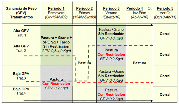 Manejo de la Proteína y Energía de la Recría a la Terminación. ¿Cómo Afectamos la Eficiencia, Performance y el Producto que Logramos? - Image 11