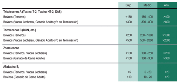 Cebadas y trigos con fusarium: ¿qué opciones tenemos? - Image 1