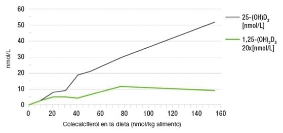 Metabolismo de la vitamina D - Image 1