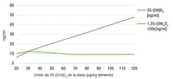 Metabolismo de la vitamina D - Image 2