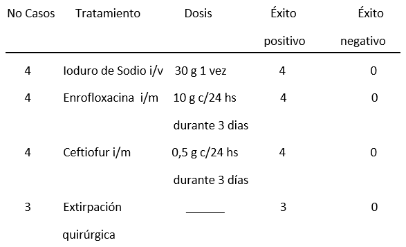 Episodio de actinobacilosis enzootica en un rodeo lechero en sistema pastoril. - Image 4