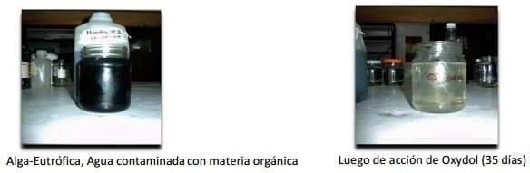Malos olores por la concentración de amoniaco en guanos de aves, informe de pruebas y aplicación de tratamiento biológico - Image 1