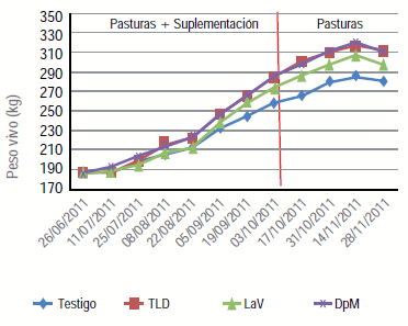 Uso eficiente de la mano de obra: suplementación invernal infrecuente de terneros sobre praderas - Image 4