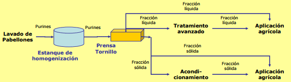 Alternativas para el manejo de purines - Image 4