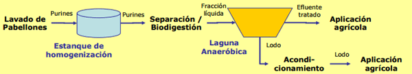 Alternativas para el manejo de purines - Image 16