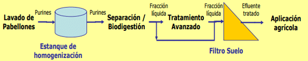 Alternativas para el manejo de purines - Image 24