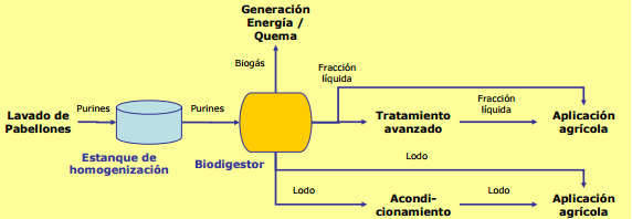 Alternativas para el manejo de purines - Image 10