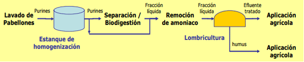 Alternativas para el manejo de purines - Image 20