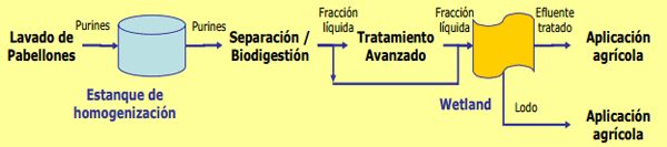 Alternativas para el manejo de purines - Image 22
