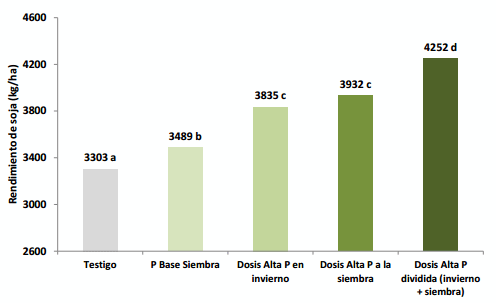 Fertilización con fósforo en secuencias continuas de soja - Image 4