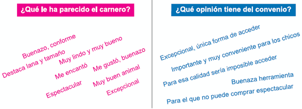 Apoyo a la producción familiar ganadera ovina. Avances de los convenios de innovación y validación tecnológica (INIA-CLU-CRILU) - Image 7