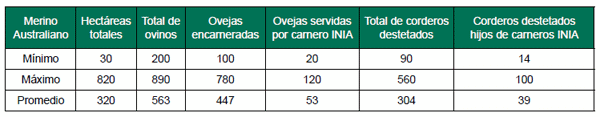 Apoyo a la producción familiar ganadera ovina. Avances de los convenios de innovación y validación tecnológica (INIA-CLU-CRILU) - Image 5