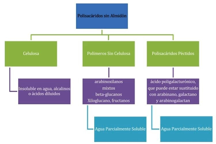 La Importancia de la Fibra en la Nutrición de Reproductoras Broilers - Image 1